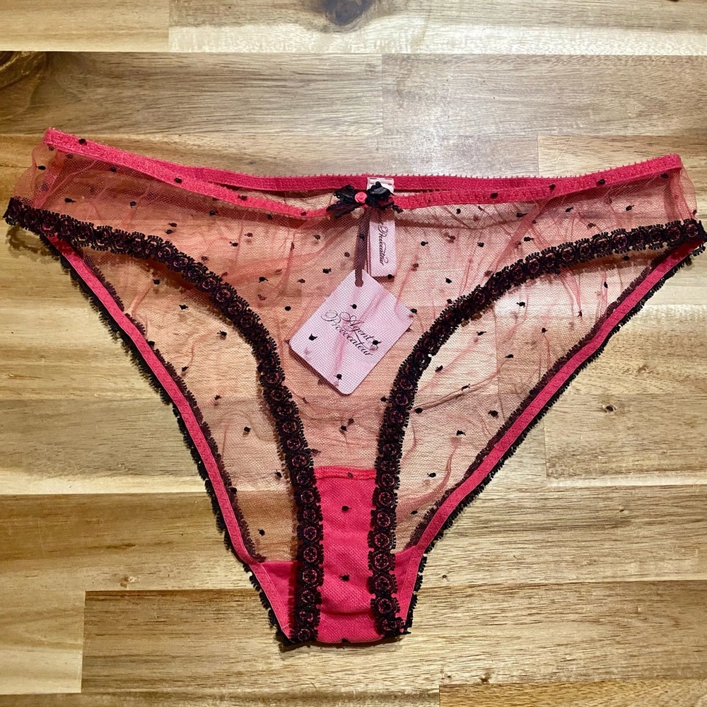 Agent Provocateur Pink and Black Mesh Poppie Brief AP 5